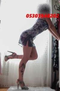 Alanya Escort Bayan Hizmetleri: Beklenenden Daha Fazlası